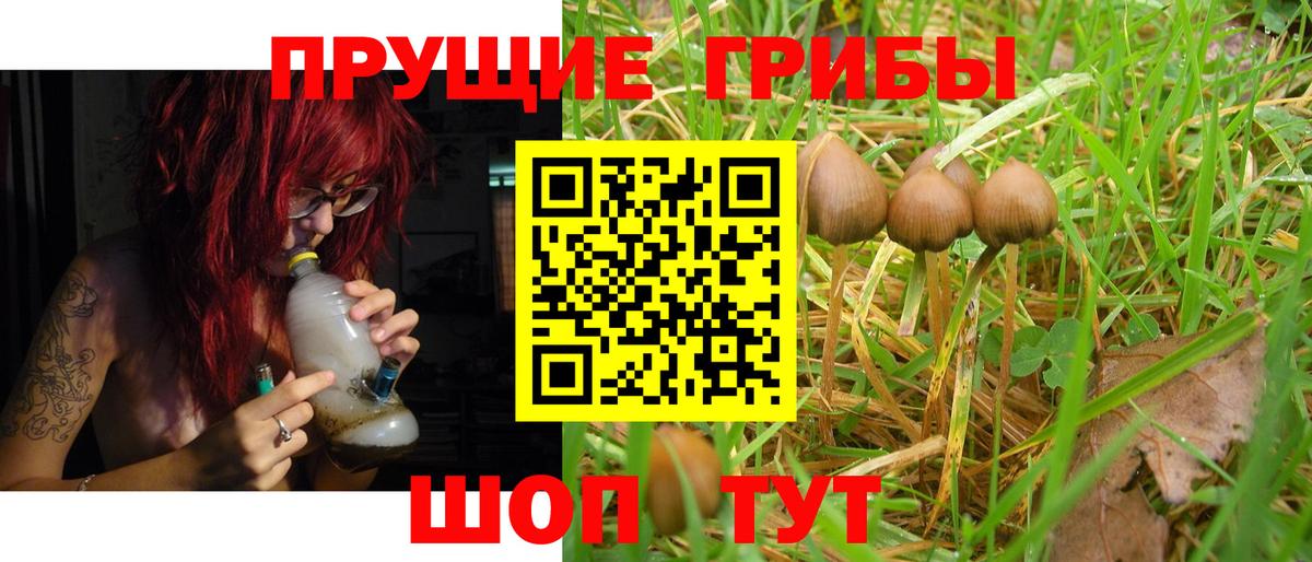Галлюциногенные грибы Magic Shrooms  где можно купить наркотик  Псилоцибиновые грибы Psilocybine cubensis  Звенигород  Вход с VPN 