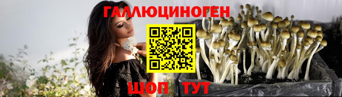 Псилоцибиновые грибы Magic Shrooms Звенигород